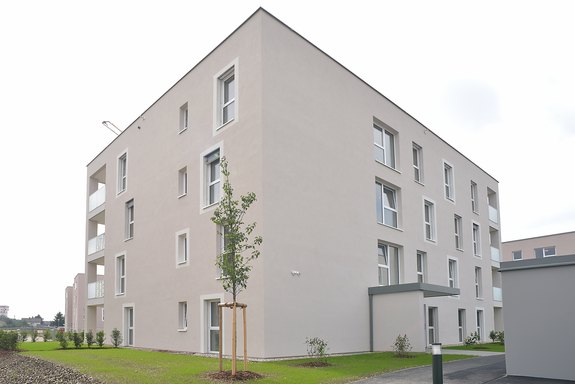Ansfelden__1085_.JPG